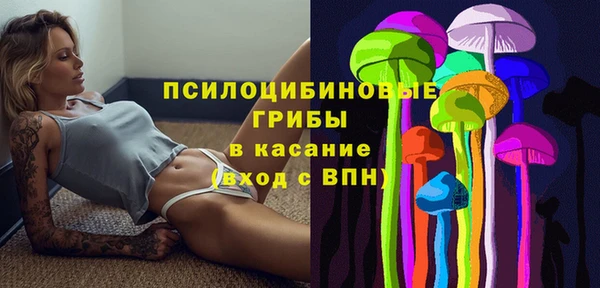 mdma Богданович