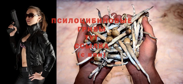 прущий лед Богородицк