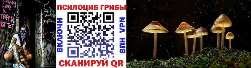 Псилоцибиновые грибы GOLDEN TEACHER  Купить  Ирбит 